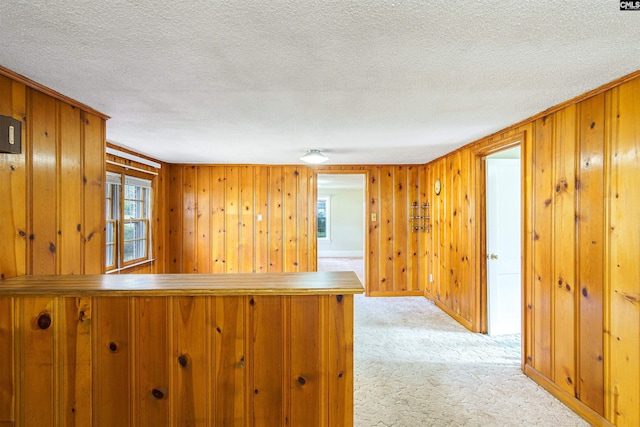 bar featuring light colored carpet, wood walls, and a textured ceiling