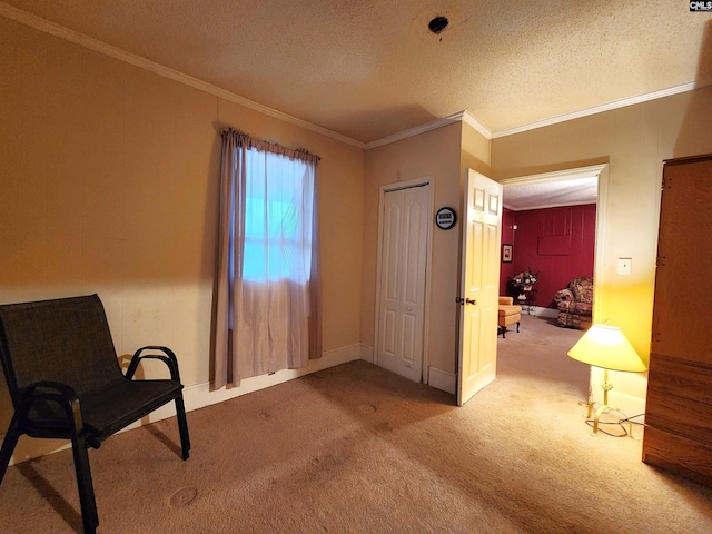 living area with a textured ceiling, carpet, baseboards, and ornamental molding