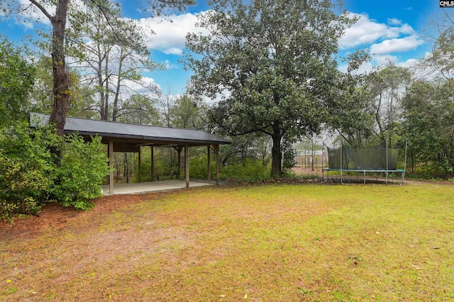 view of yard with a patio and a trampoline