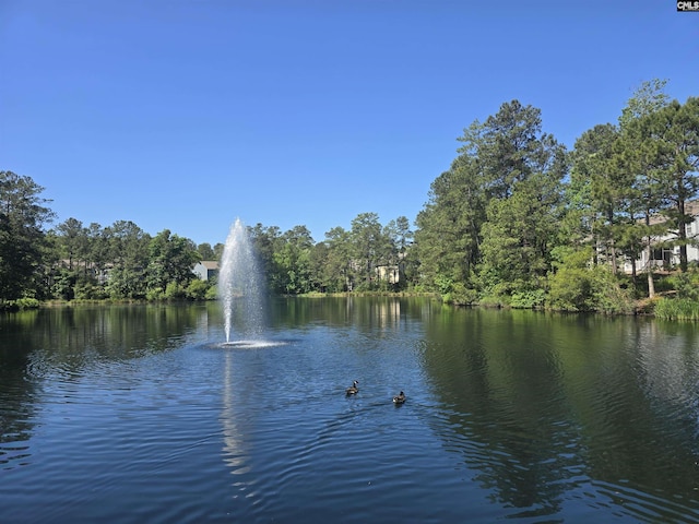 1400 Red Sunset Ln, Blythewood, SC 29016 - property view of water