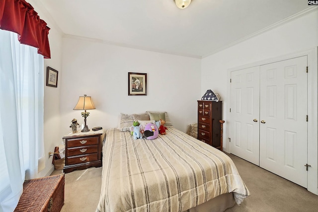 carpeted bedroom featuring a closet and ornamental molding