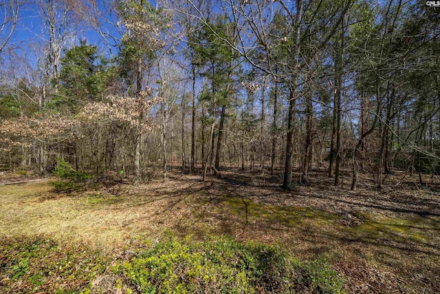 view of nature featuring a wooded view