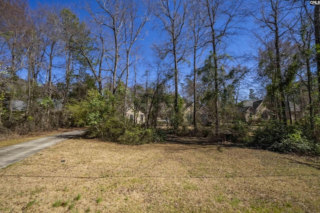 view of yard featuring driveway