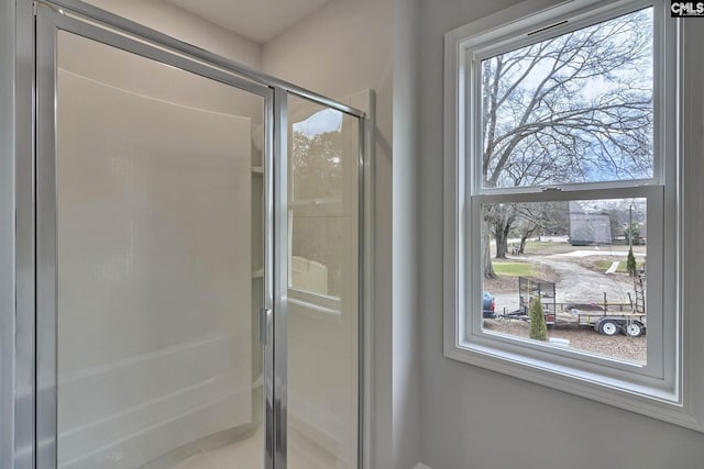 full bathroom with a shower stall