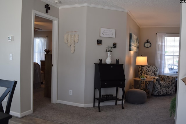 sitting room with a textured ceiling, carpet, baseboards, and ornamental molding