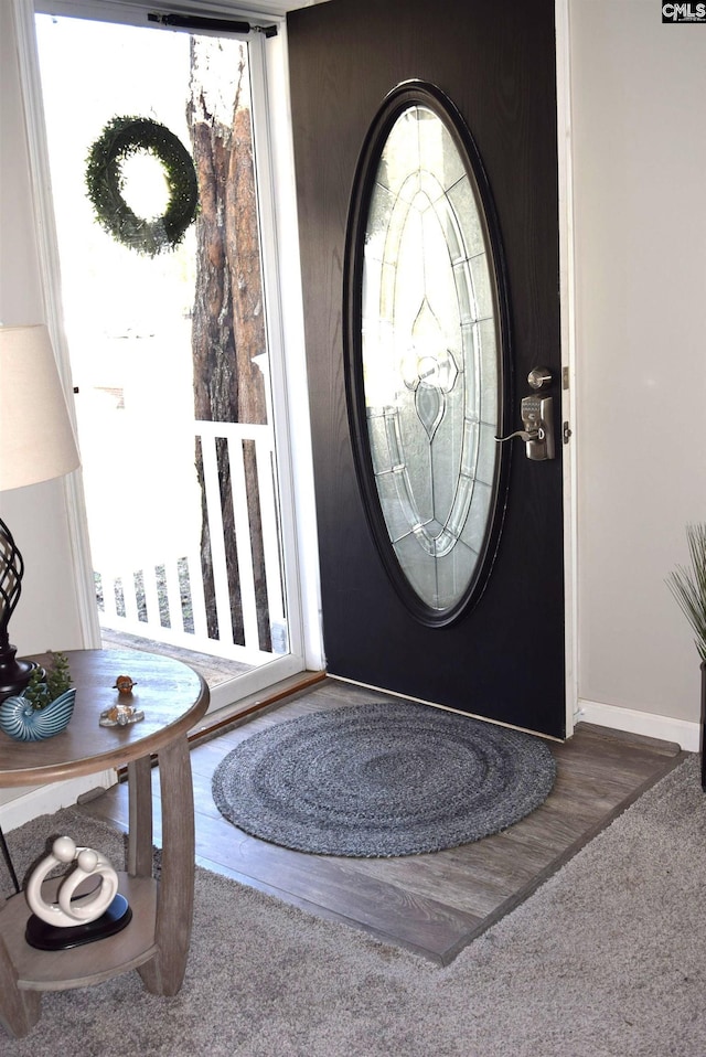 entrance foyer with baseboards and wood finished floors