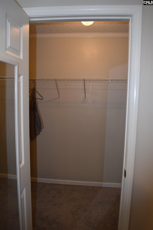 spacious closet with carpet flooring