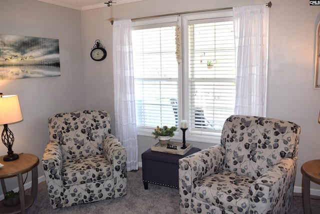 living area with carpet flooring