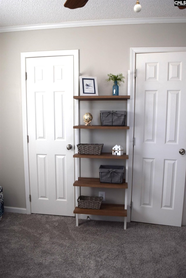 room details with a textured ceiling, carpet flooring, and crown molding