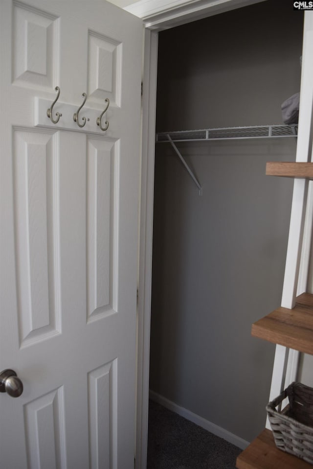 view of closet