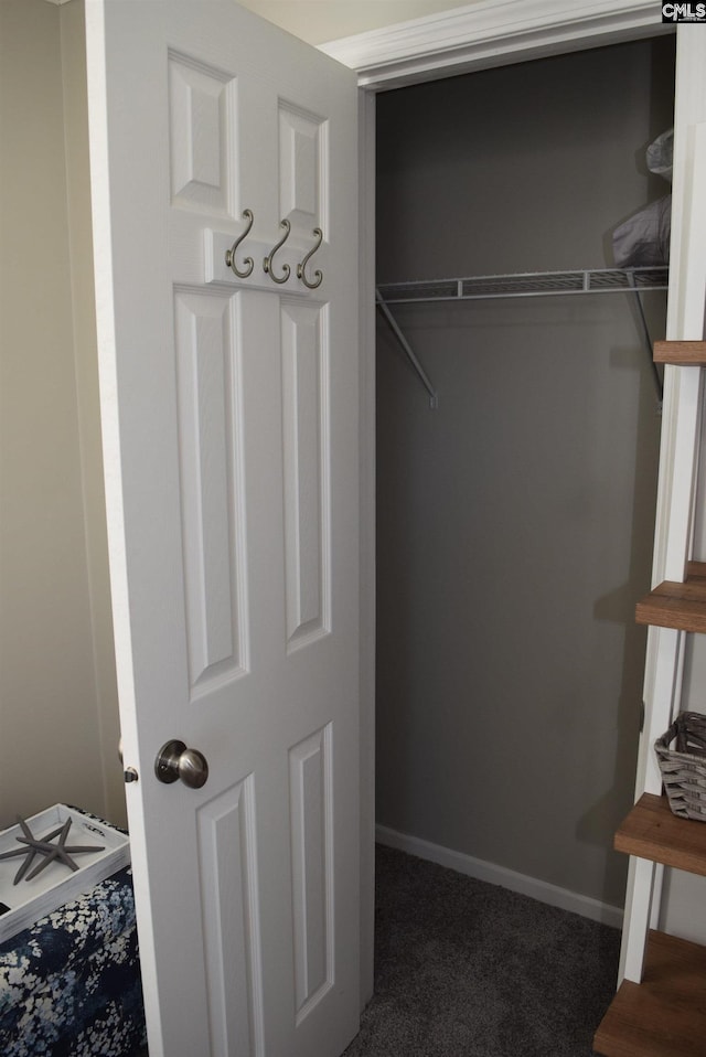 view of closet