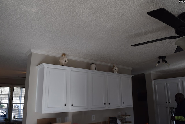 interior details featuring a textured ceiling and crown molding