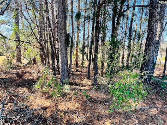 N Main St, Prosperity SC, 29127 land for sale