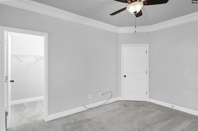 unfurnished bedroom with a walk in closet, carpet, a closet, and ornamental molding