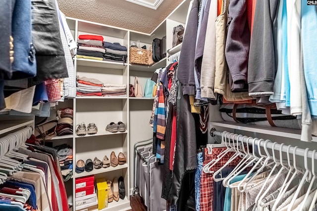 view of walk in closet