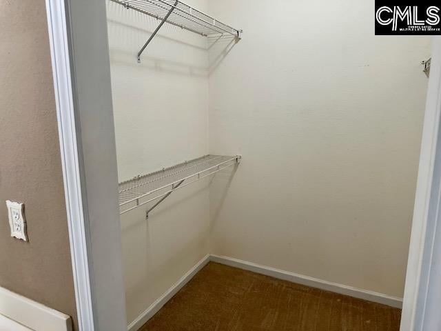 view of walk in closet