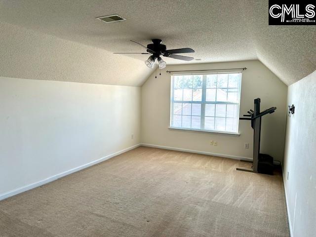 additional living space with carpet, visible vents, baseboards, lofted ceiling, and a textured ceiling