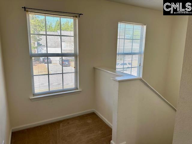 interior space featuring a wealth of natural light, baseboards, and carpet