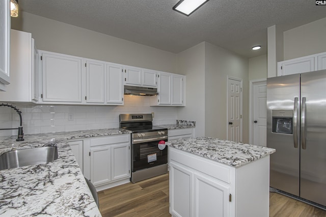 kitchen with under cabinet range hood, wood finished floors, stainless steel appliances, and a sink