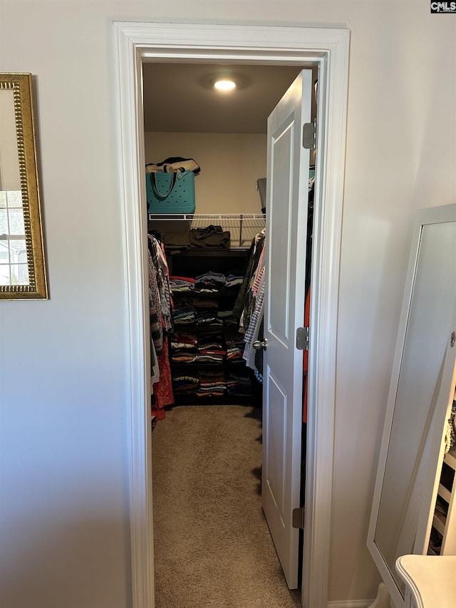 walk in closet featuring carpet floors