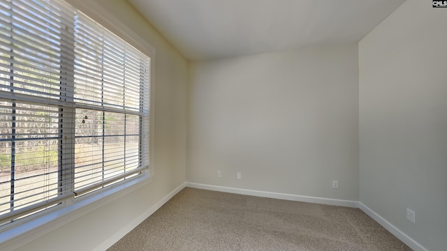 unfurnished room with baseboards and carpet floors