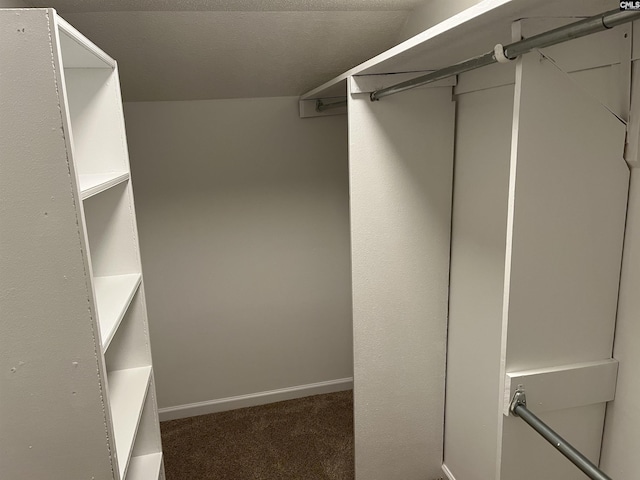 spacious closet featuring carpet