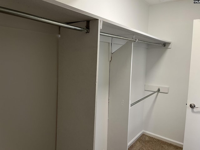 walk in closet featuring carpet floors