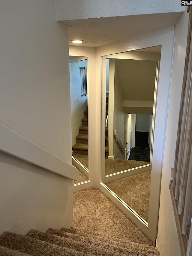 stairs featuring carpet