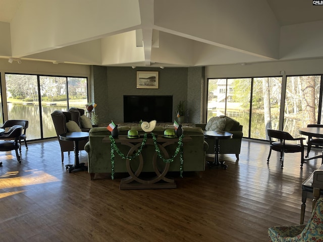 living room featuring a healthy amount of sunlight, high vaulted ceiling, and wood finished floors