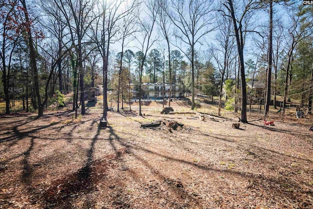 view of yard featuring driveway