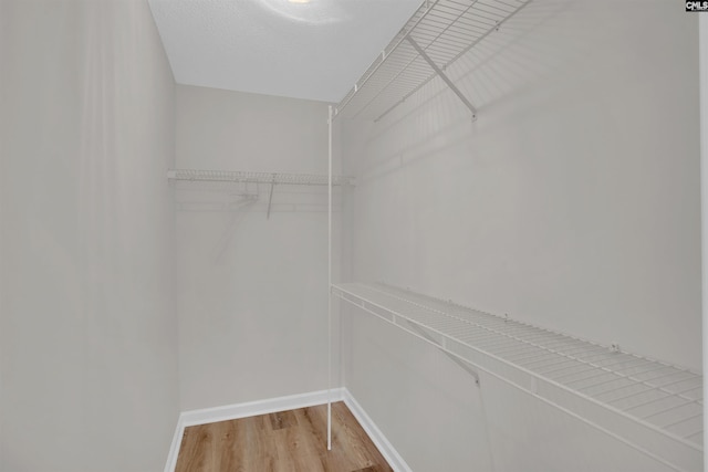 walk in closet featuring light wood-type flooring