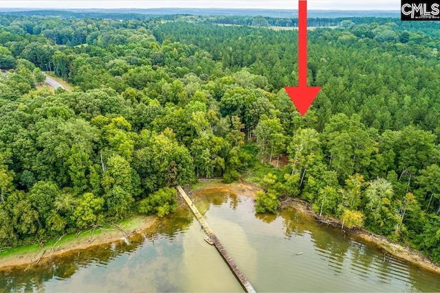 98 Twin Ponds Rd, Newberry SC, 29108 land for sale