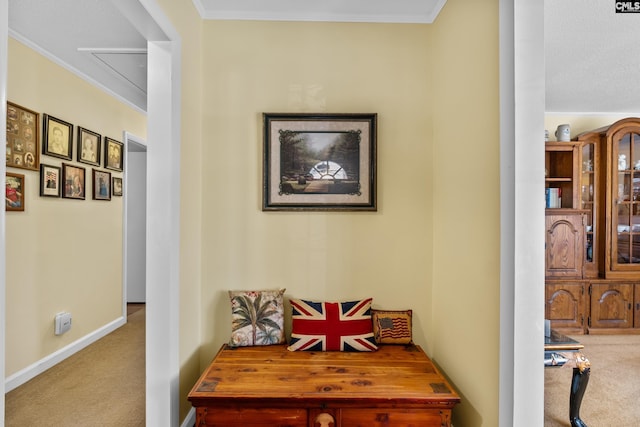 corridor with baseboards, carpet floors, and crown molding