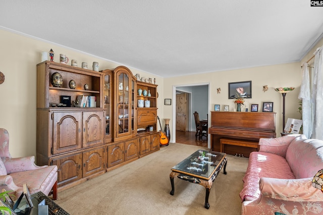 living room featuring light colored carpet