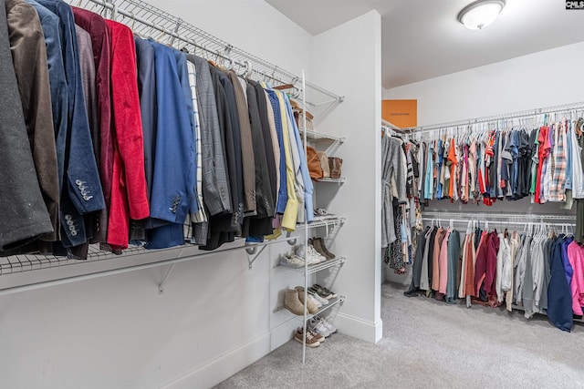 walk in closet featuring carpet floors