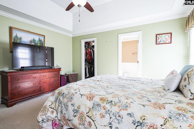 bedroom with a walk in closet, a raised ceiling, carpet, and a closet