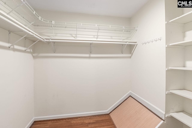 walk in closet with wood finished floors