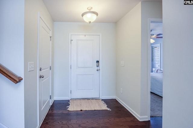 entrance foyer featuring ceiling fan, baseboards, and dark wood-style floors