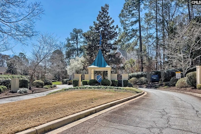 409 Telfair Way, Columbia, SC 29212 - view of asphalt road featuring curbs and traffic signs