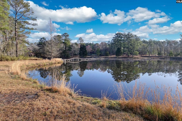 property view of water featuring a forest view