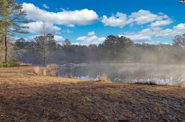 view of water feature featuring a wooded view