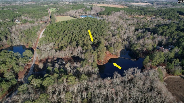 bird's eye view featuring a forest view and a water view