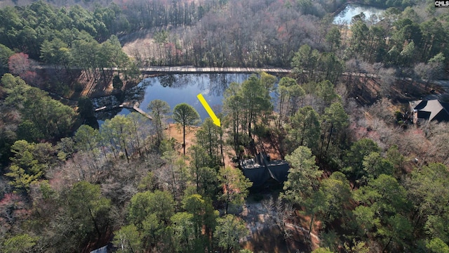 bird's eye view with a forest view and a water view