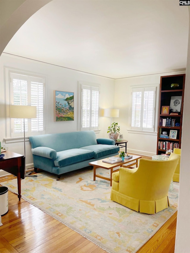 living area featuring a wealth of natural light and wood-type flooring