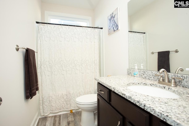 bathroom with toilet, vanity, and wood finished floors