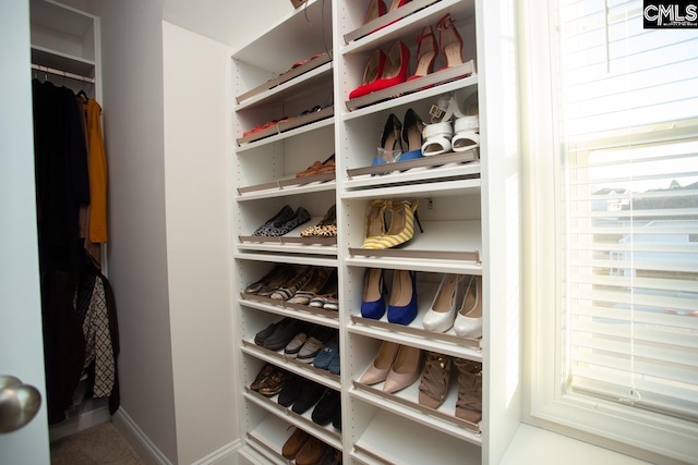 view of spacious closet