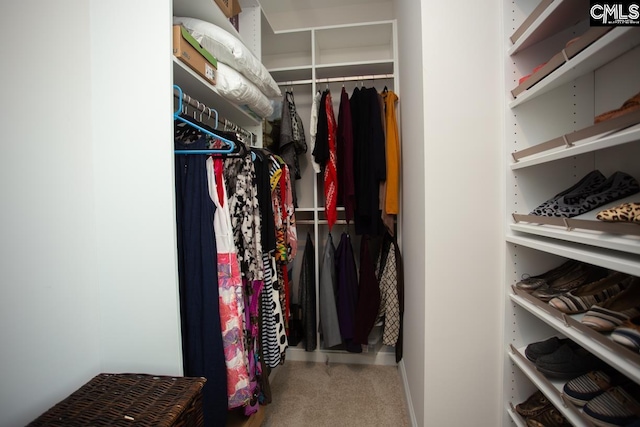 walk in closet featuring carpet floors