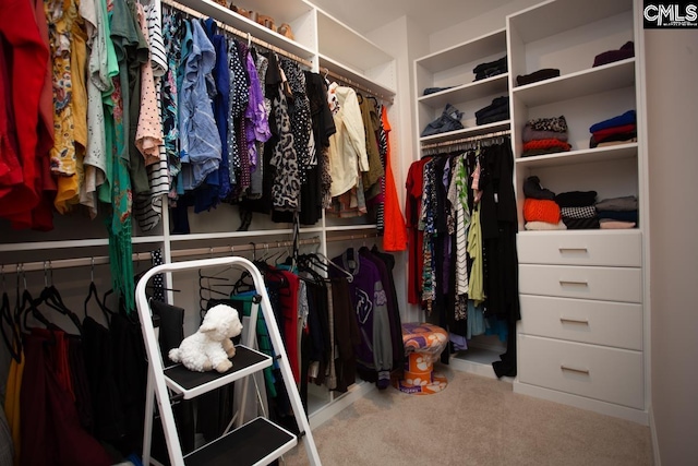 walk in closet with carpet flooring