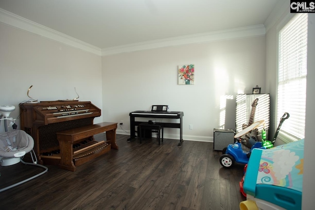 miscellaneous room featuring baseboards, ornamental molding, and dark wood-style flooring