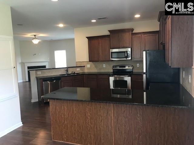 kitchen with a ceiling fan, a sink, appliances with stainless steel finishes, a peninsula, and a fireplace